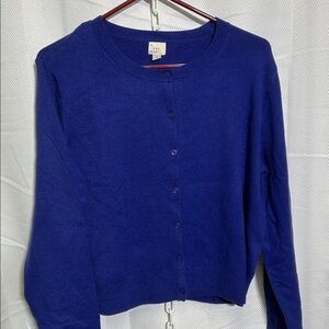 A New Day Vibrant Blue Cardigan